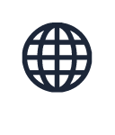 Globe icon